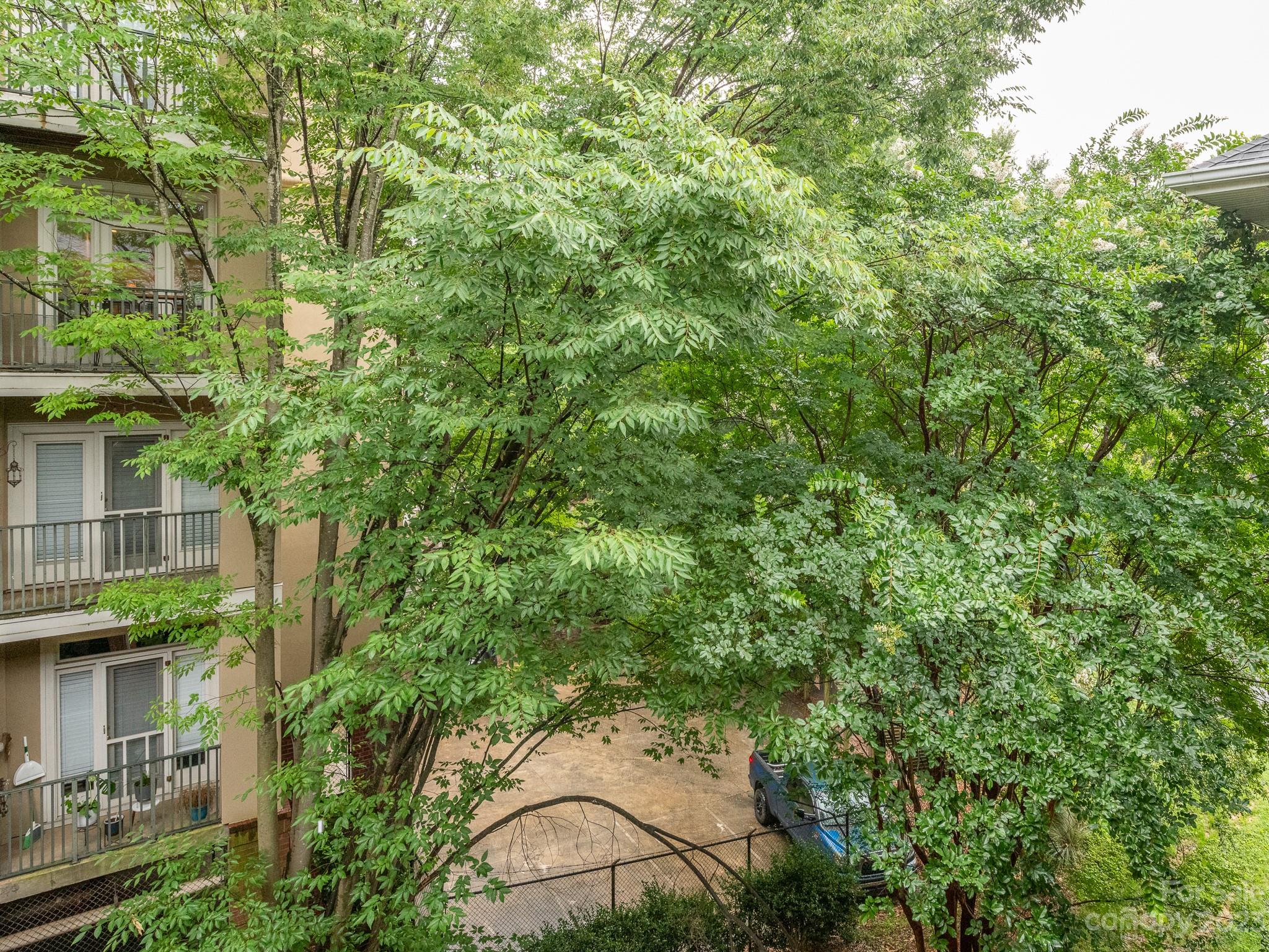 400 Queens Road, Unit C6 Charlotte, NC 28207 - Photo 20 of 25 a view of a yard in front of house