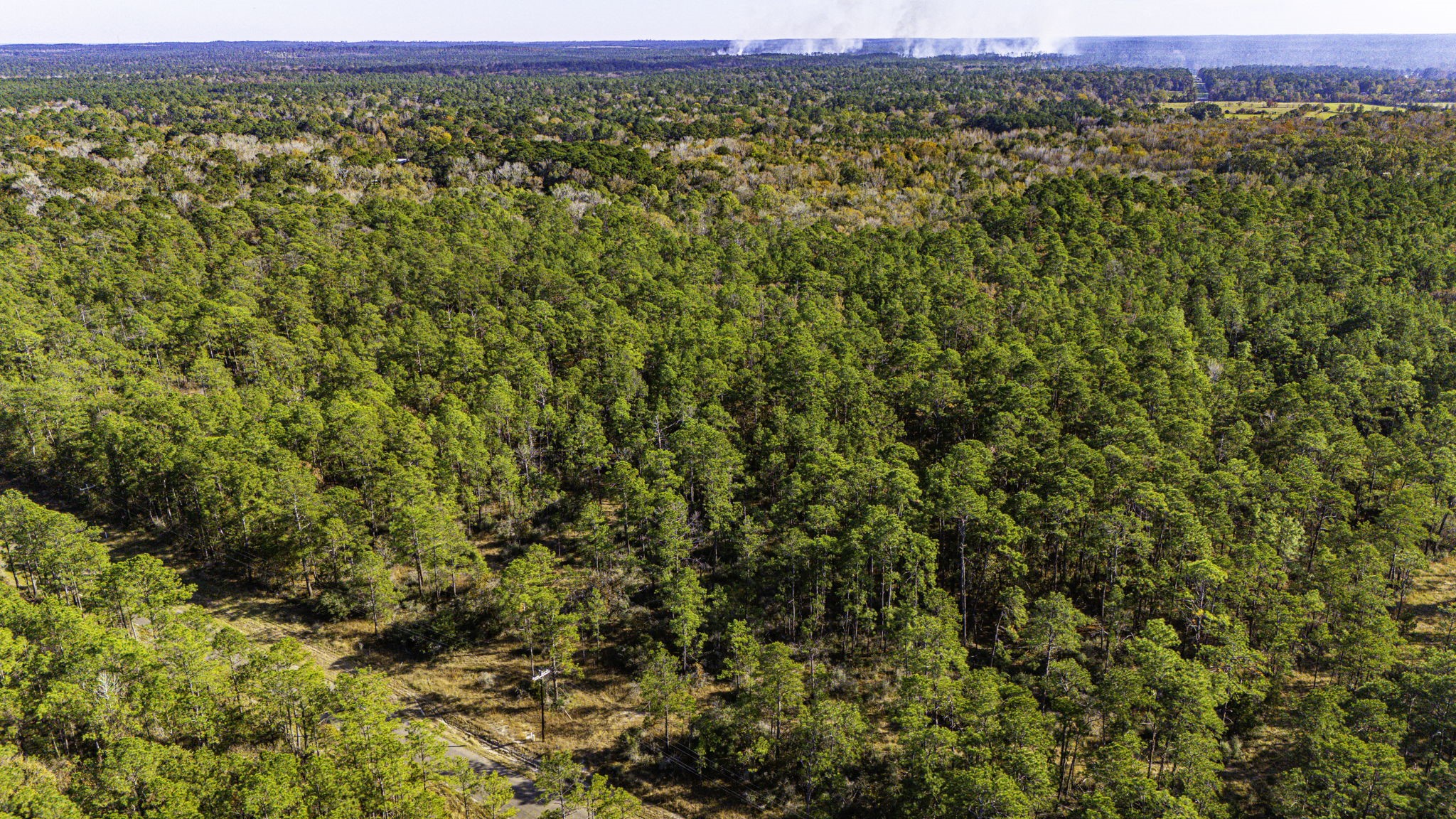 36 Sportsman Retreat Road Onalaska, TX 77360 - Photo 2 of 10