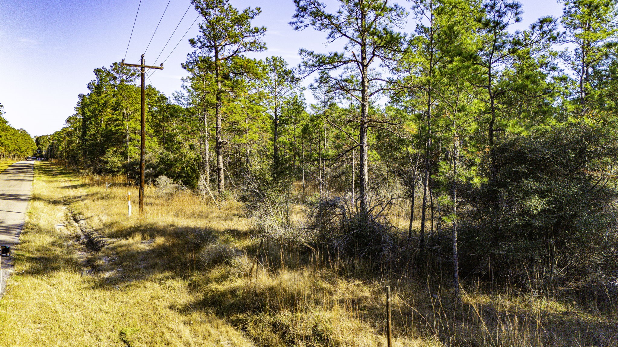 36 Sportsman Retreat Road Onalaska, TX 77360 - Photo 4 of 10