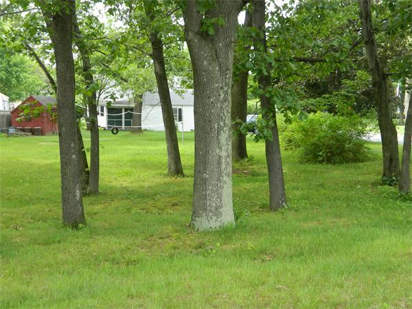 0 Sunrise Terrace Springfield, MA 01119 - Photo 1 of 2 a view of a trees in a yard