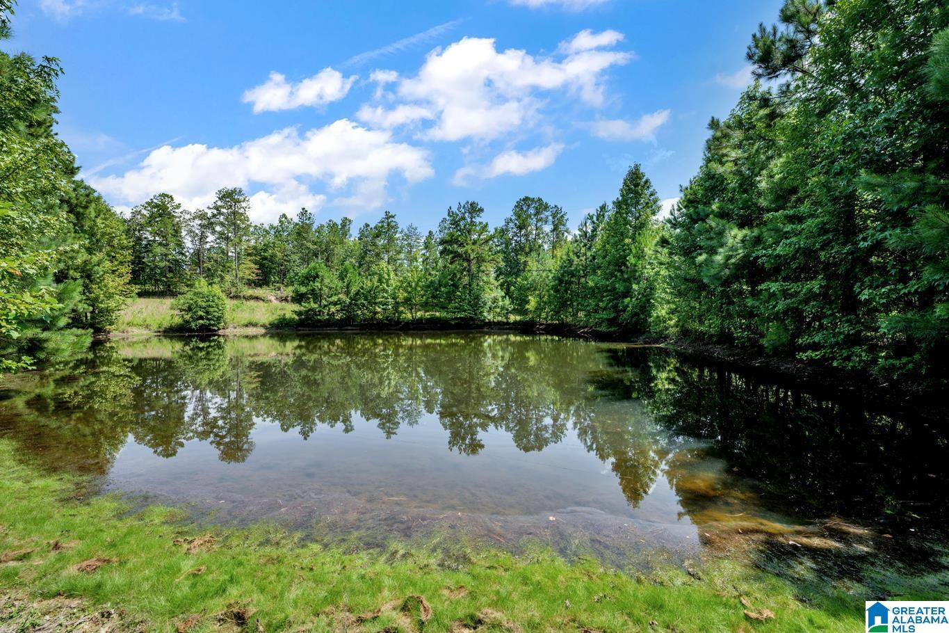 587 Mountain Drive Remlap, AL 35133 - Photo 1 of 34
