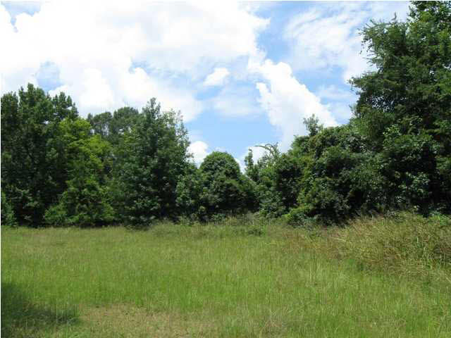 0 Wells Road Bentonia, MS 39040 - Photo 3 of 17 Photo 3