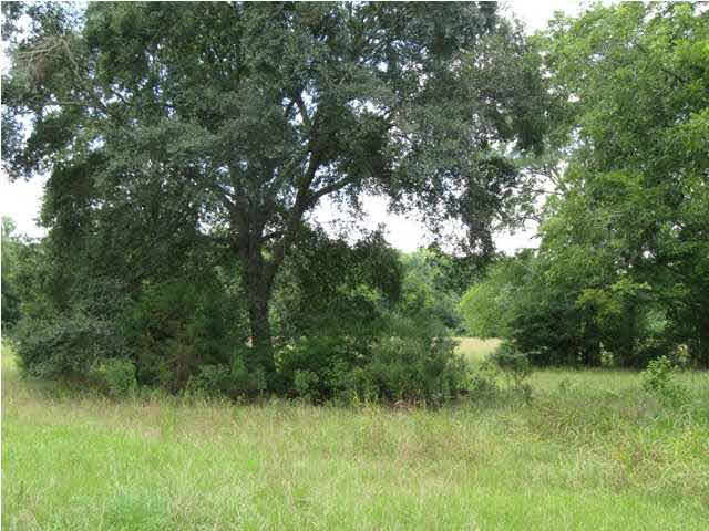 0 Wells Road Bentonia, MS 39040 - Photo 5 of 17 Photo 5