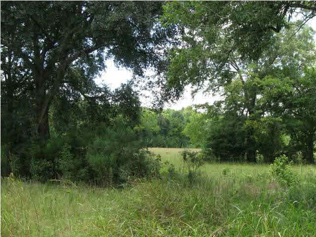 0 Wells Road Bentonia, MS 39040 - Photo 8 of 17 Photo 8
