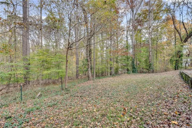 a view of a yard with trees in the background