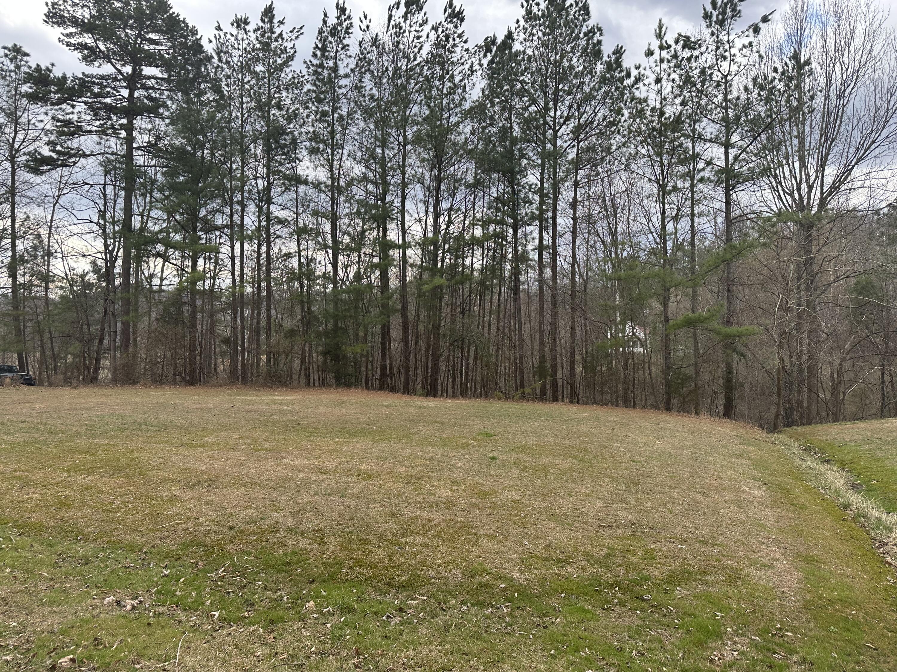0 Colony Road, Unit LOT # 2/ SECTION C Manchester, KY 40962 - Photo 2 of 4 IMG_2284