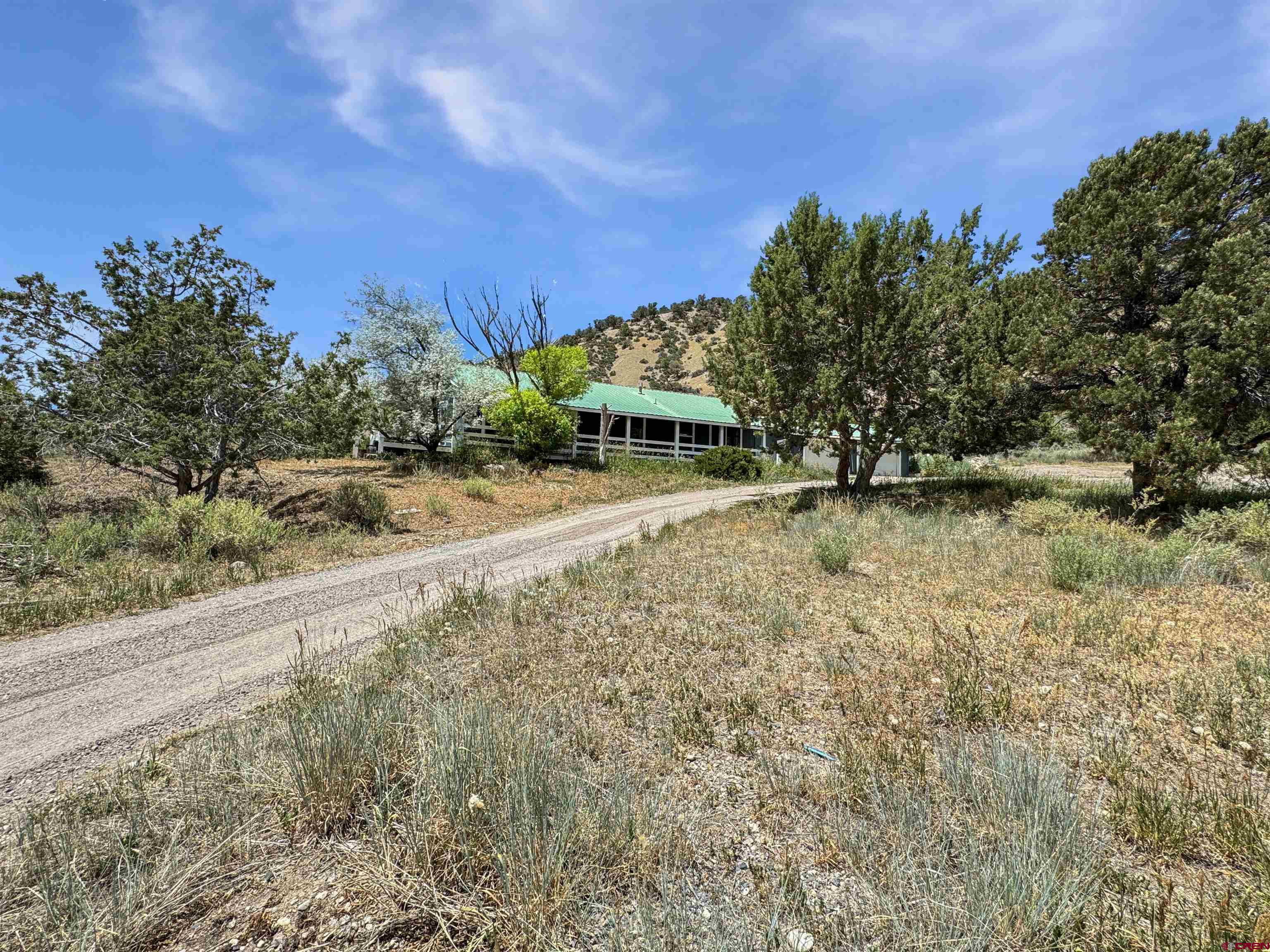 43157 Long Gulch Road Crawford, CO 81415 - Photo 12 of 35 a view of an outdoor space and a yard