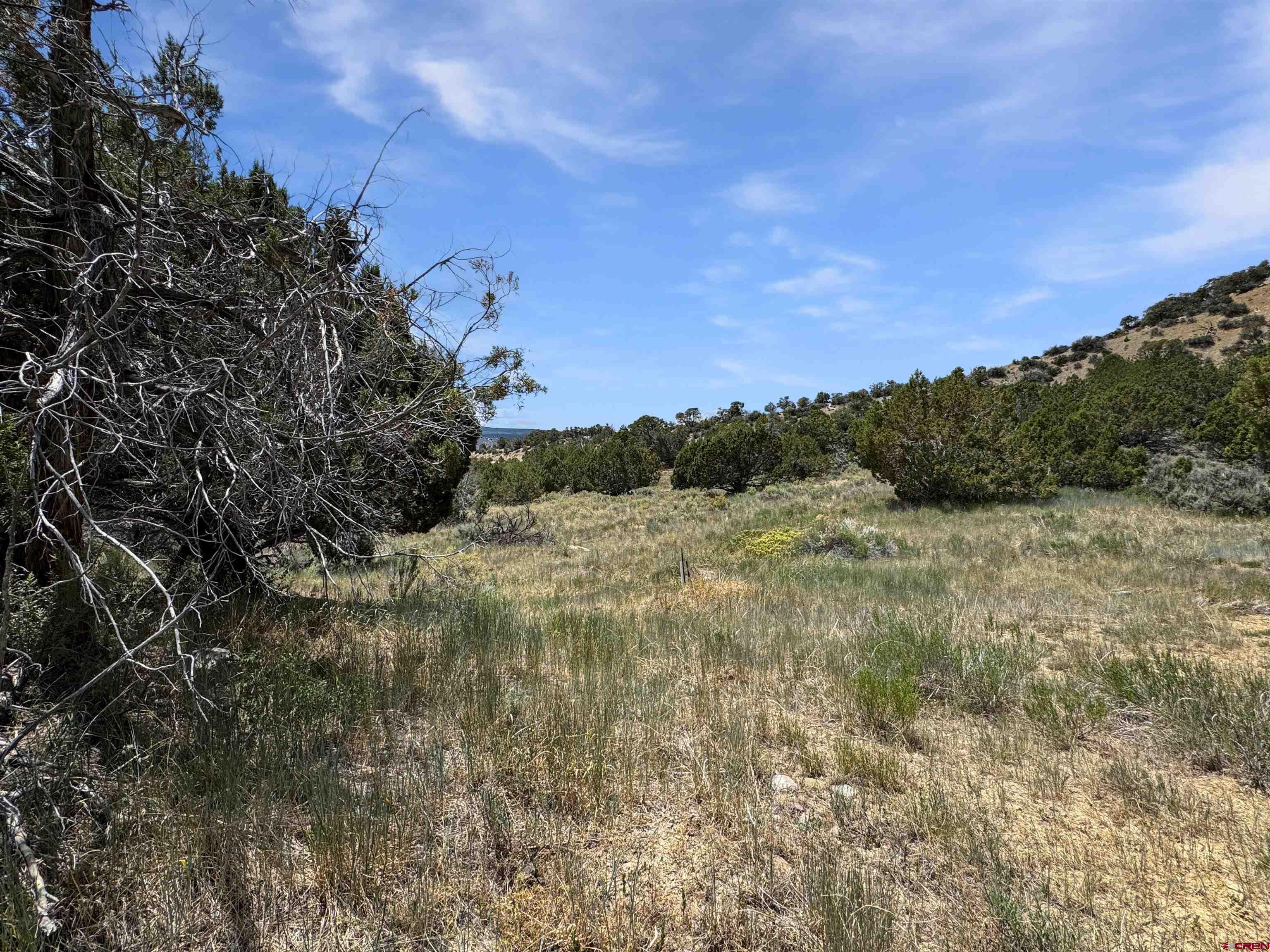 43157 Long Gulch Road Crawford, CO 81415 - Photo 23 of 35