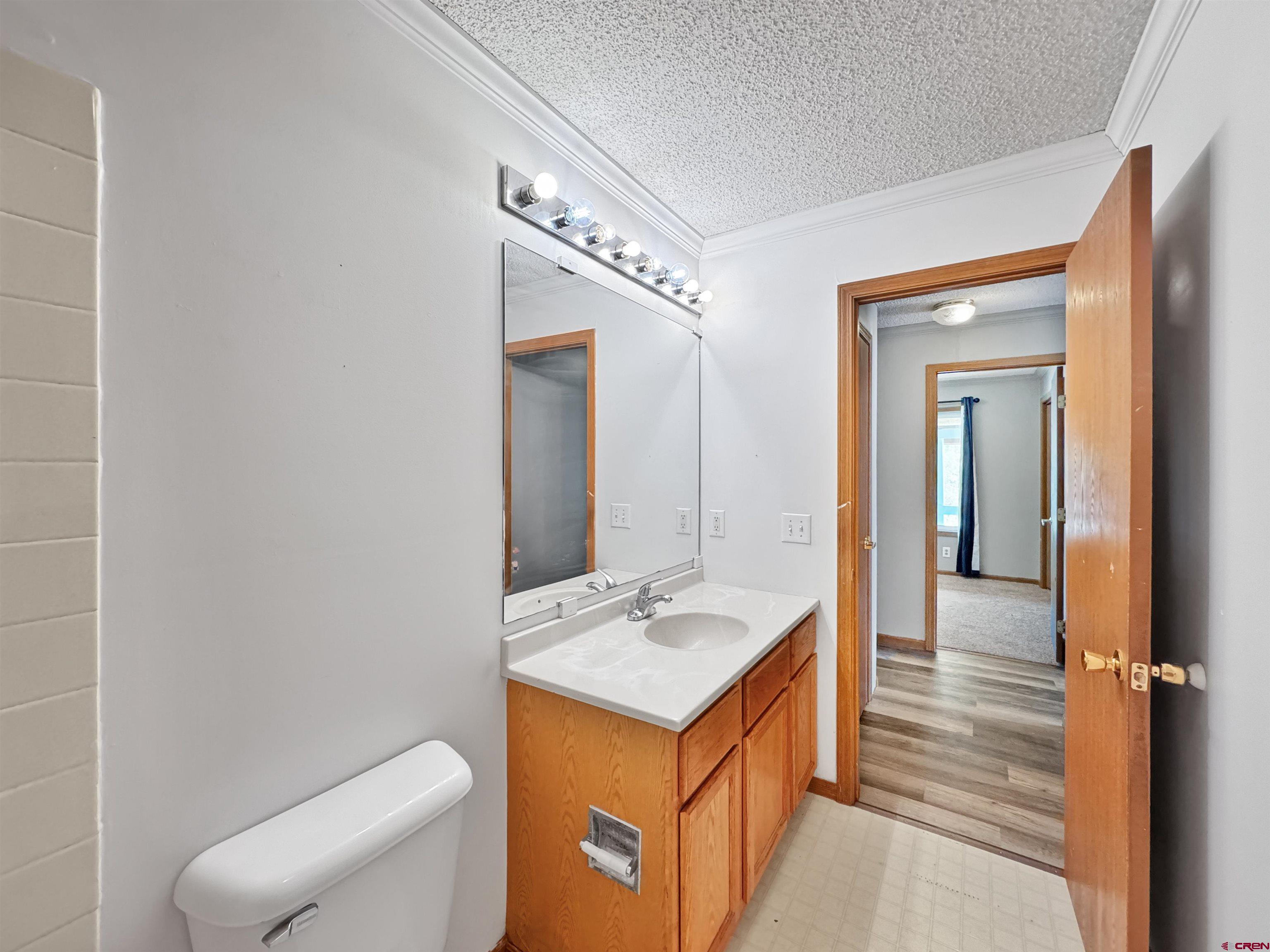43157 Long Gulch Road Crawford, CO 81415 - Photo 6 of 35 a bathroom with a sink a toilet and mirror
