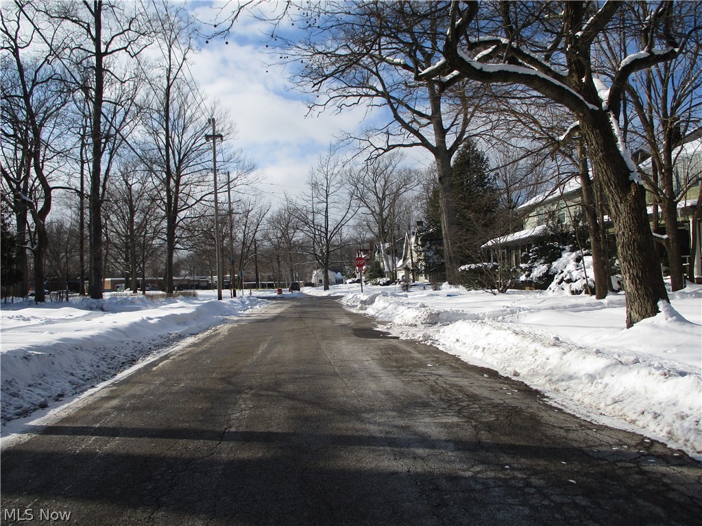 1718 Wood Road Cleveland Heights, OH 44121 - Photo 4 of 5 Gallery Image 4