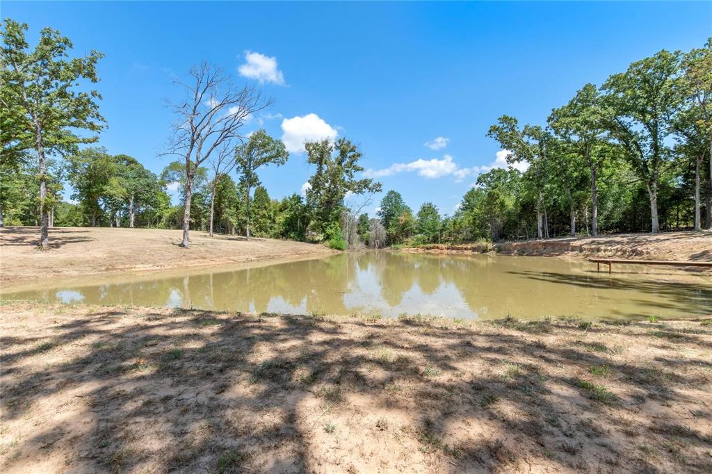 7204 Lance Eustace, TX 75124 - Photo 11 of 25 View of water feature