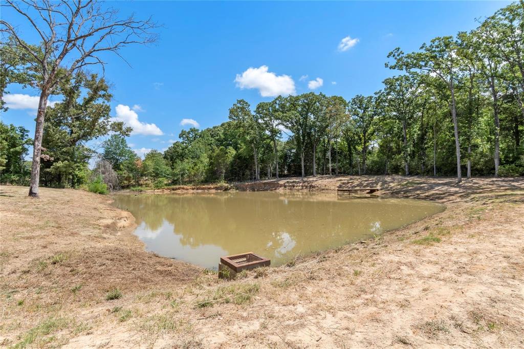 7204 Lance Eustace, TX 75124 - Photo 12 of 25 View of water feature