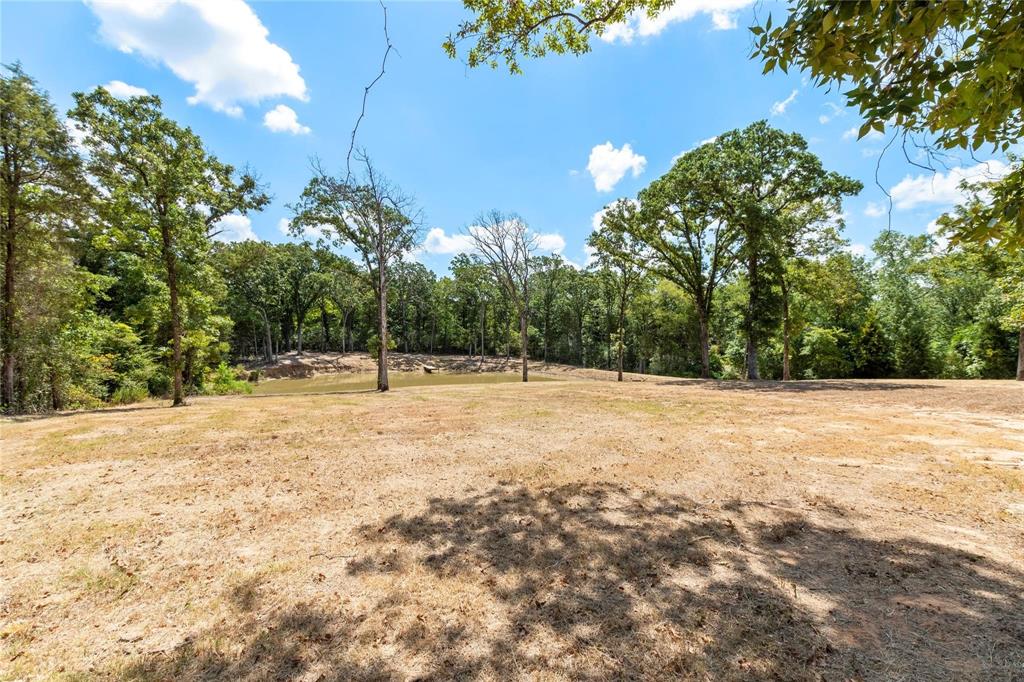 7204 Lance Eustace, TX 75124 - Photo 6 of 25 View of landscape featuring a forest view