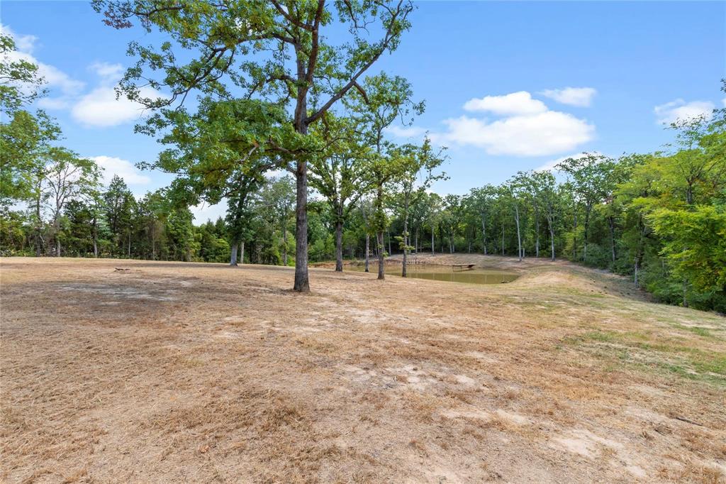 7204 Lance Eustace, TX 75124 - Photo 8 of 25 View of yard featuring a view of trees