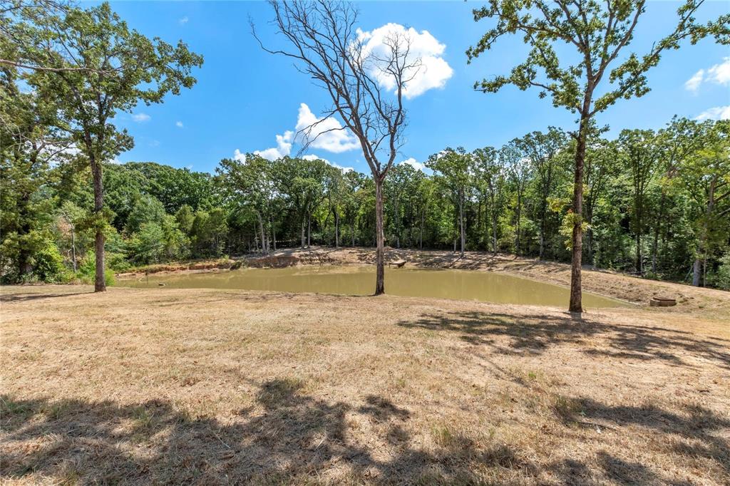 7204 Lance Eustace, TX 75124 - Photo 9 of 25 View of yard with a water view and a view of trees