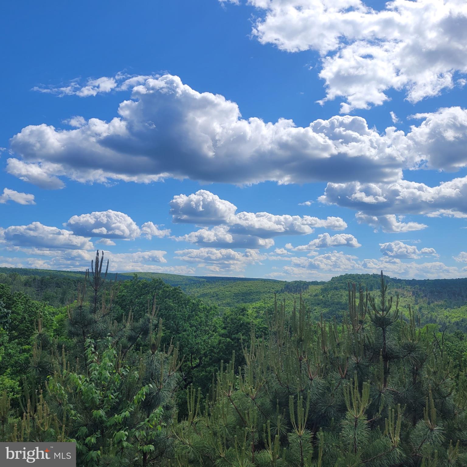 729 High Mountain Road Gardners, PA 17324 - Photo 6 of 15 a view of a city