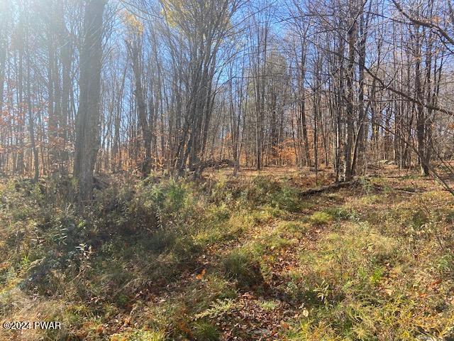 Rotten Road Equinunk, PA 18417 - Photo 4 of 8