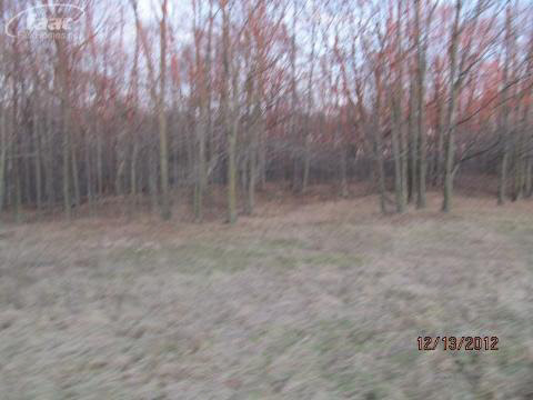 9243 Vassar Road Millington, MI 48746 - Photo 4 of 28 20152769-3.JPG