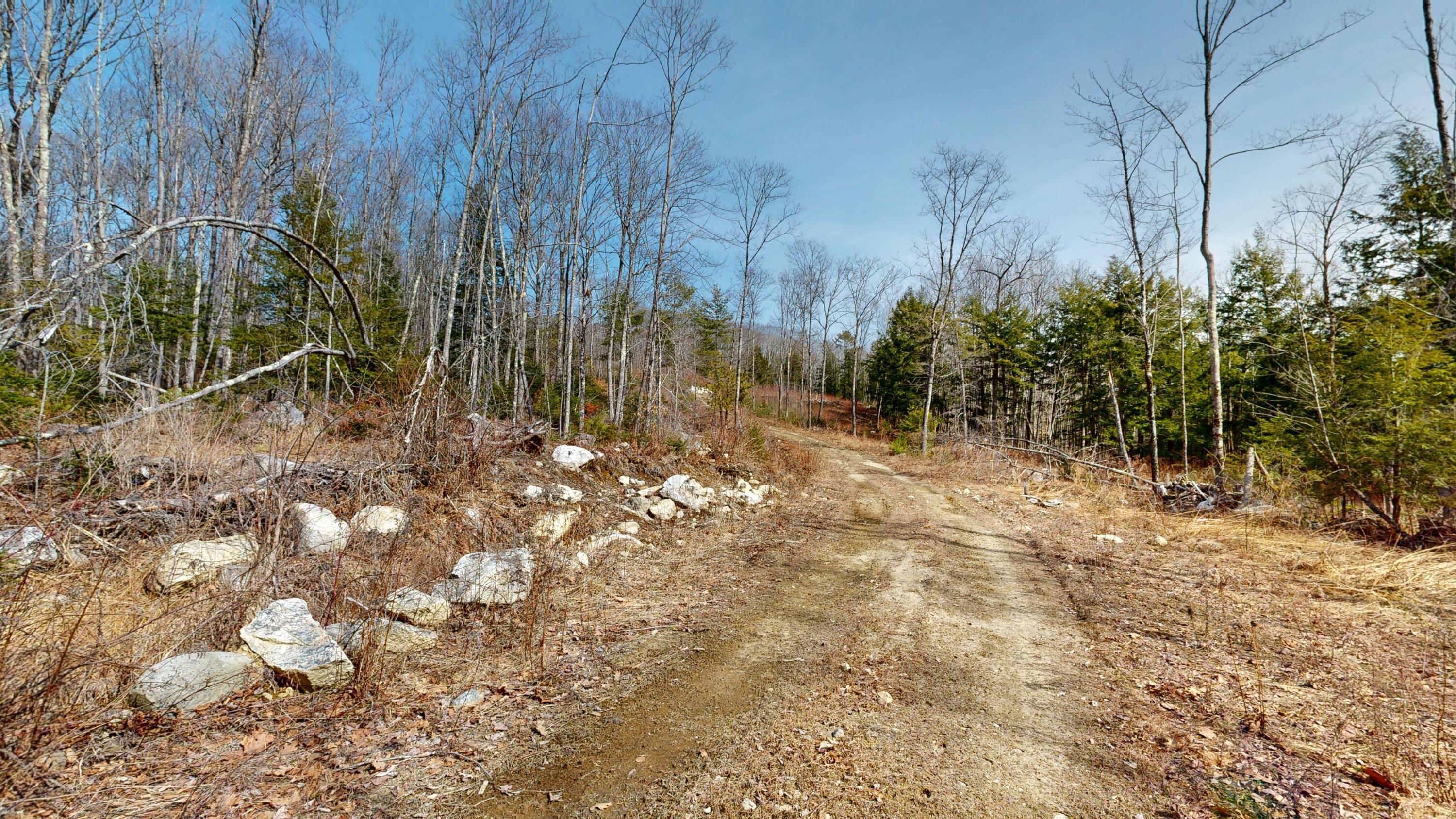 Lot 13 Wiley Road Greene, ME 04236 - Photo 4 of 9 Wiley-Road-Land-03312026_101912