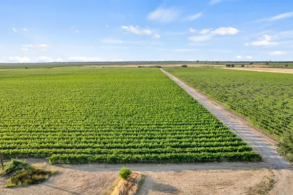 $743,000 | 53200 South River Road, Clarksburg, CA 95612