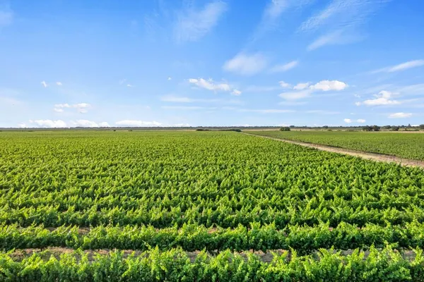 $743,000 | 53200 South River Road, Clarksburg, CA 95612