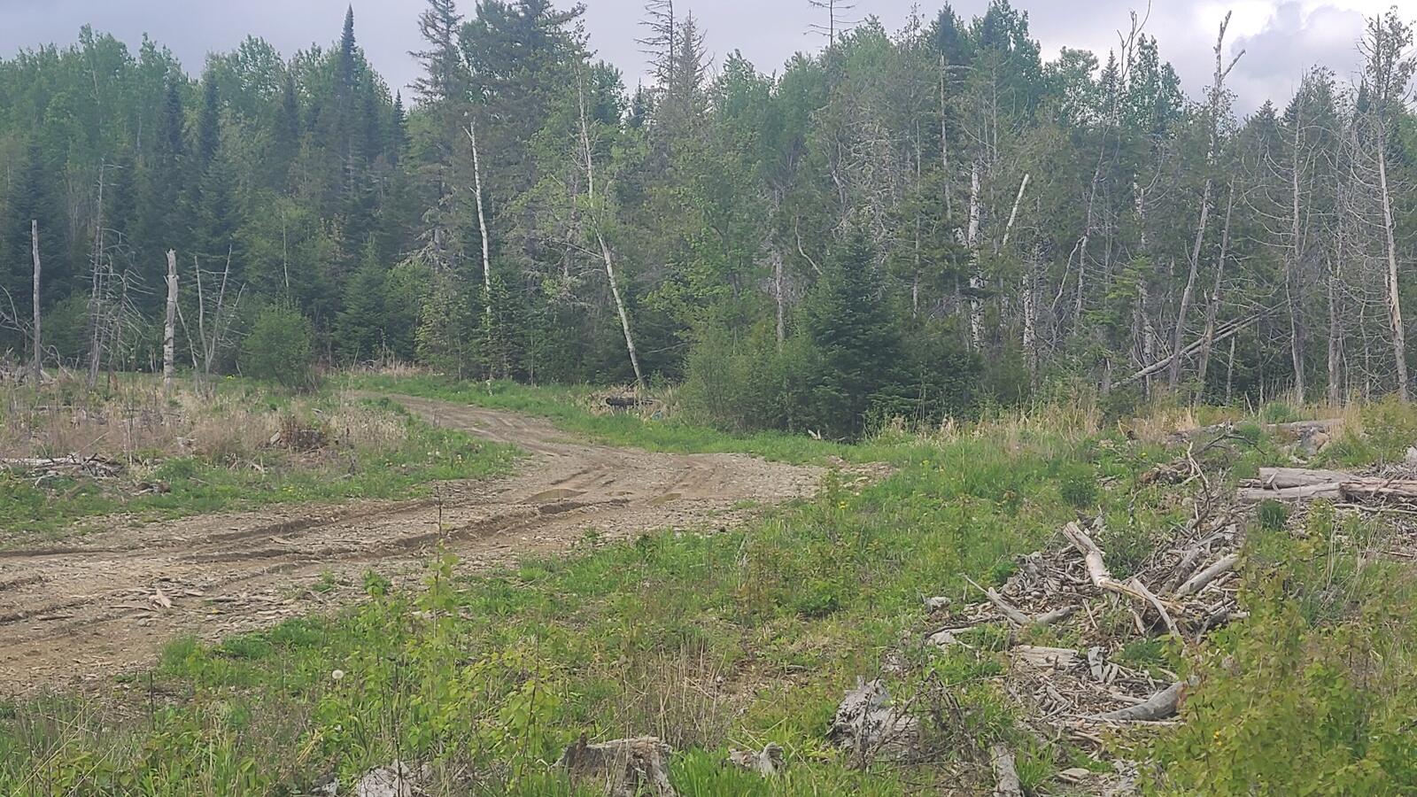 5-003-c Grendell Road Mapleton, ME 04757 - Photo 12 of 12 20260529_131339