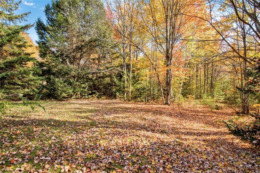 203 North Raymond Road Raymond, ME 04071 - Photo 24 of 34 Back yard