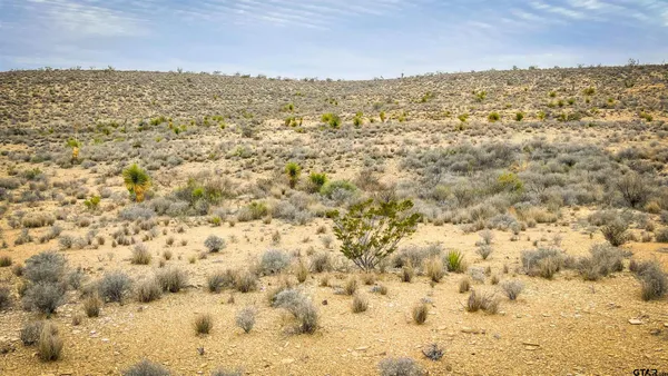 a view of city and ocean