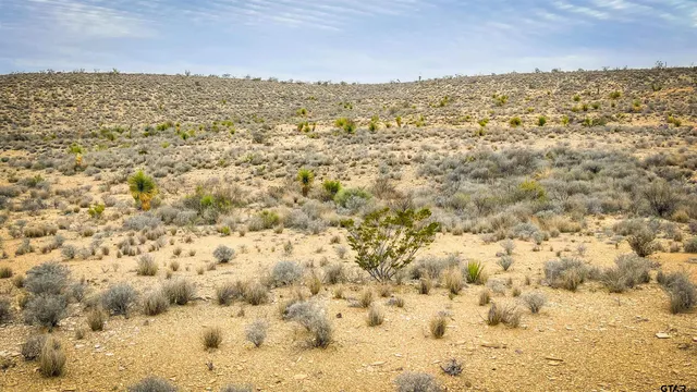a view of city and ocean