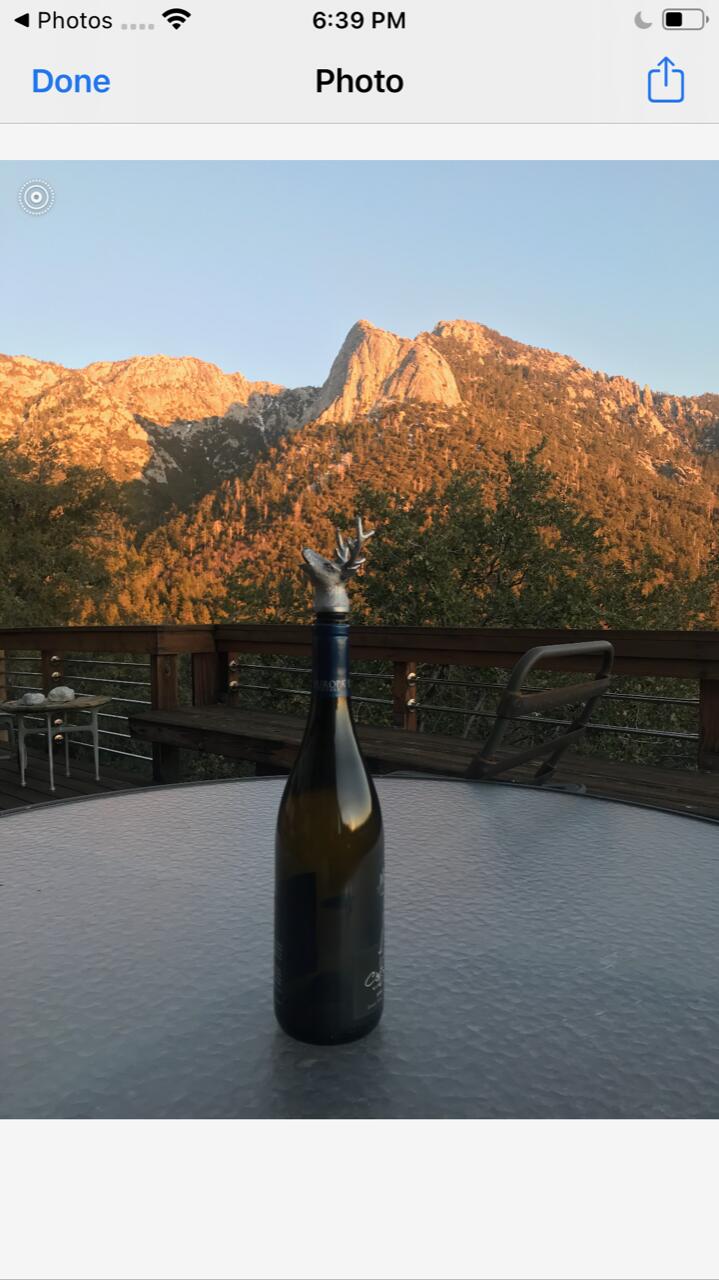 55290 Forest Haven Drive Idyllwild, CA 92549 - Photo 68 of 68 IMG_4200