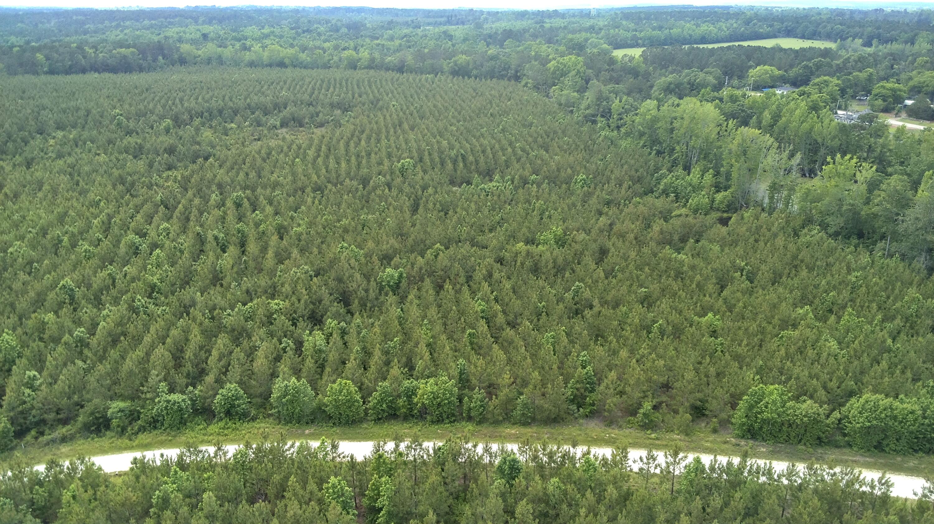 36 Moton Moore Road McCormick, SC 29835 - Photo 3 of 8 IMG_1632 neal 19