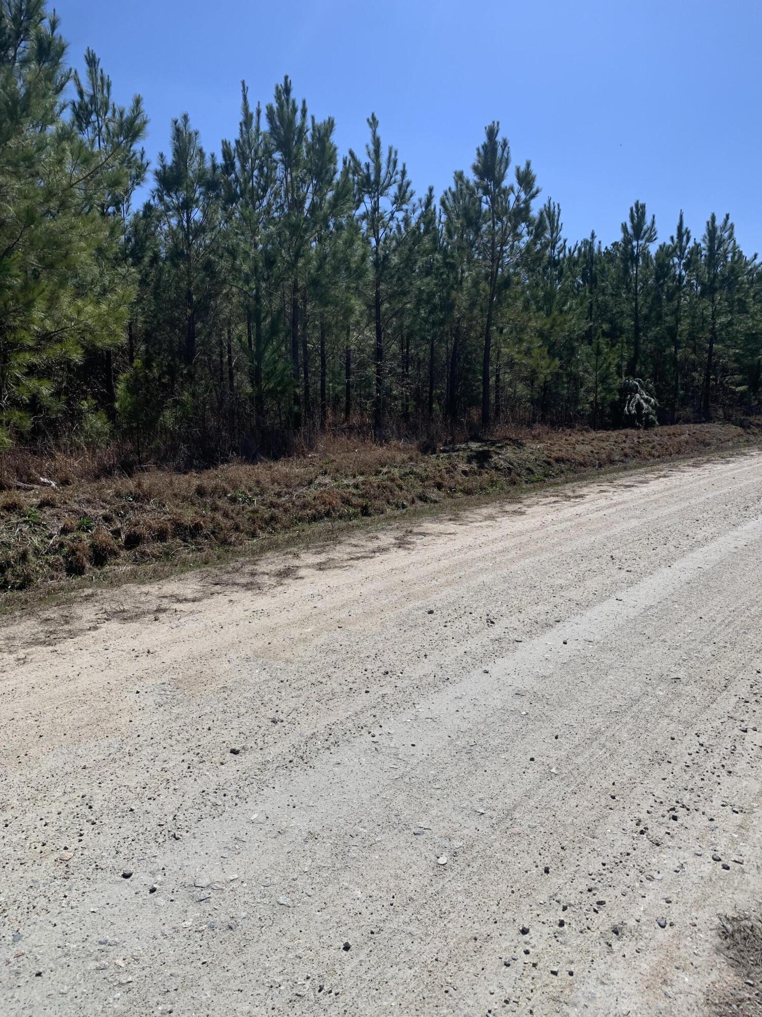 36 Moton Moore Road McCormick, SC 29835 - Photo 5 of 8 lot 2 c