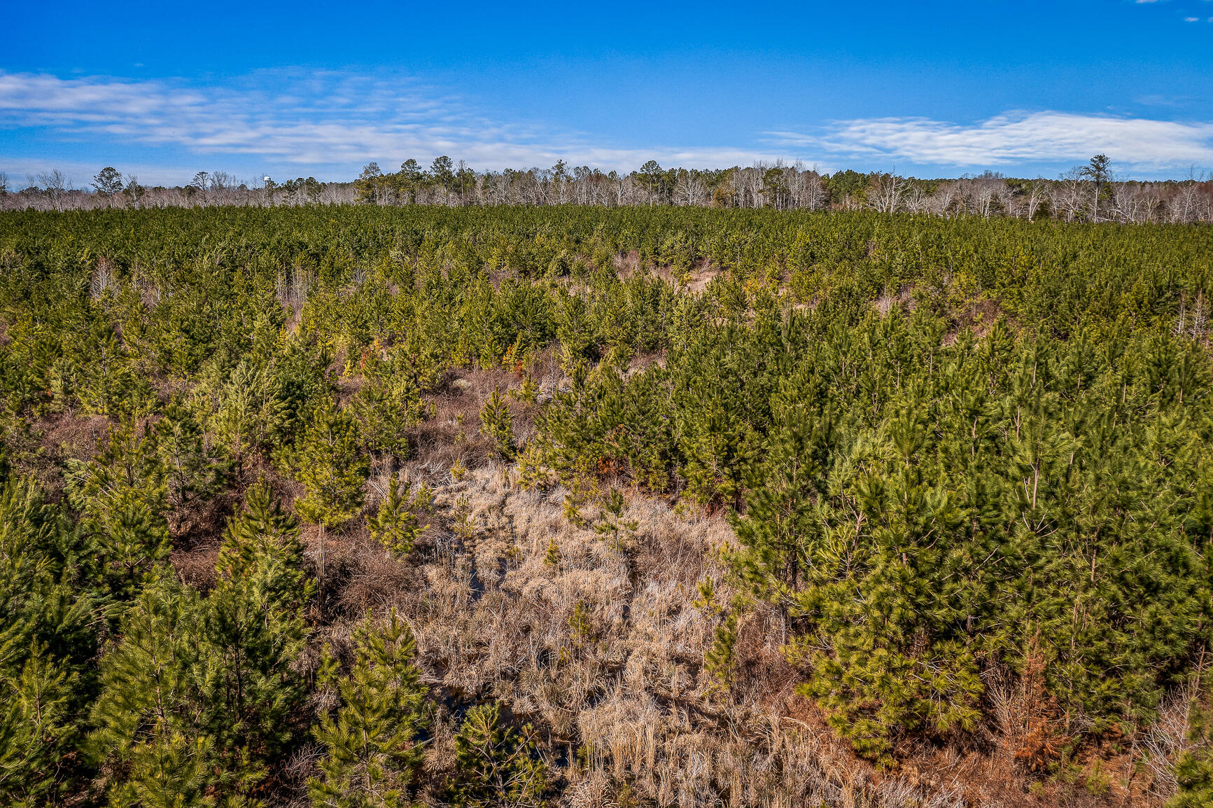 36 Moton Moore Road McCormick, SC 29835 - Photo 6 of 8 45 3