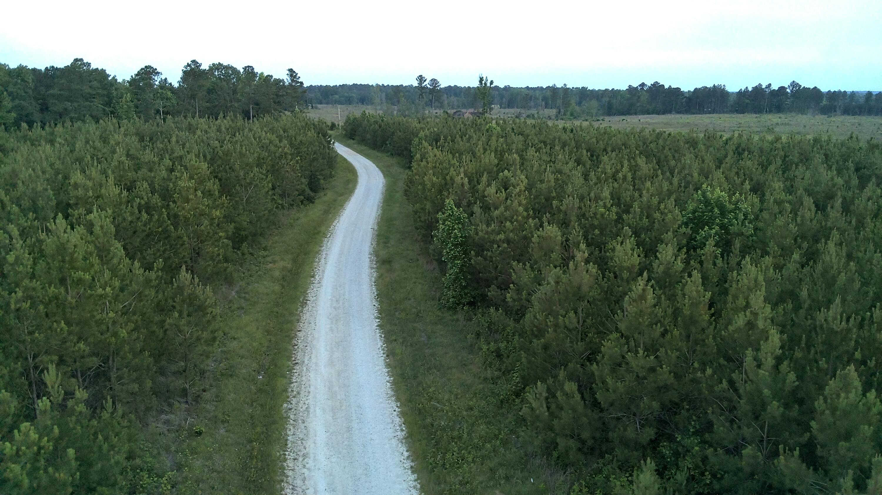 36 Moton Moore Road McCormick, SC 29835 - Photo 8 of 8 IMG_1651