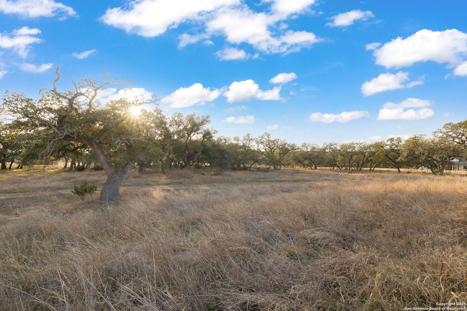 775 Green Gate View Bulverde, TX 78163 - Photo 27 of 48 a view of lake with green space