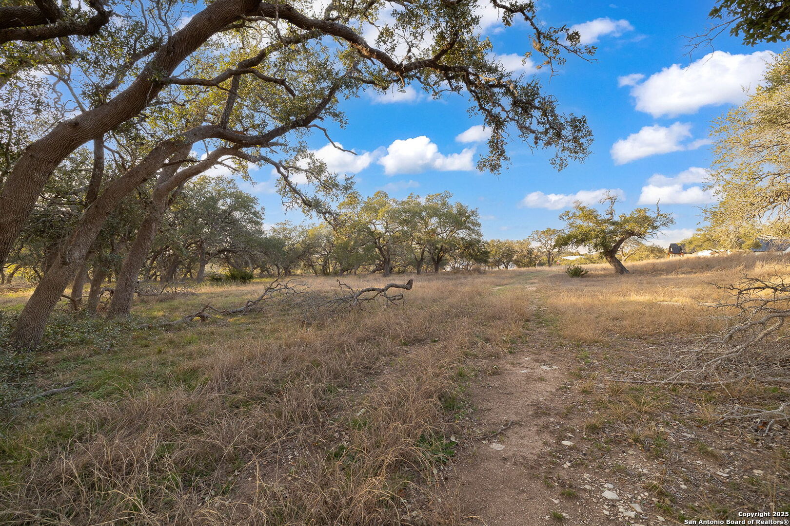 775 Green Gate View Bulverde, TX 78163 - Photo 28 of 48 a view of a yard with a tree