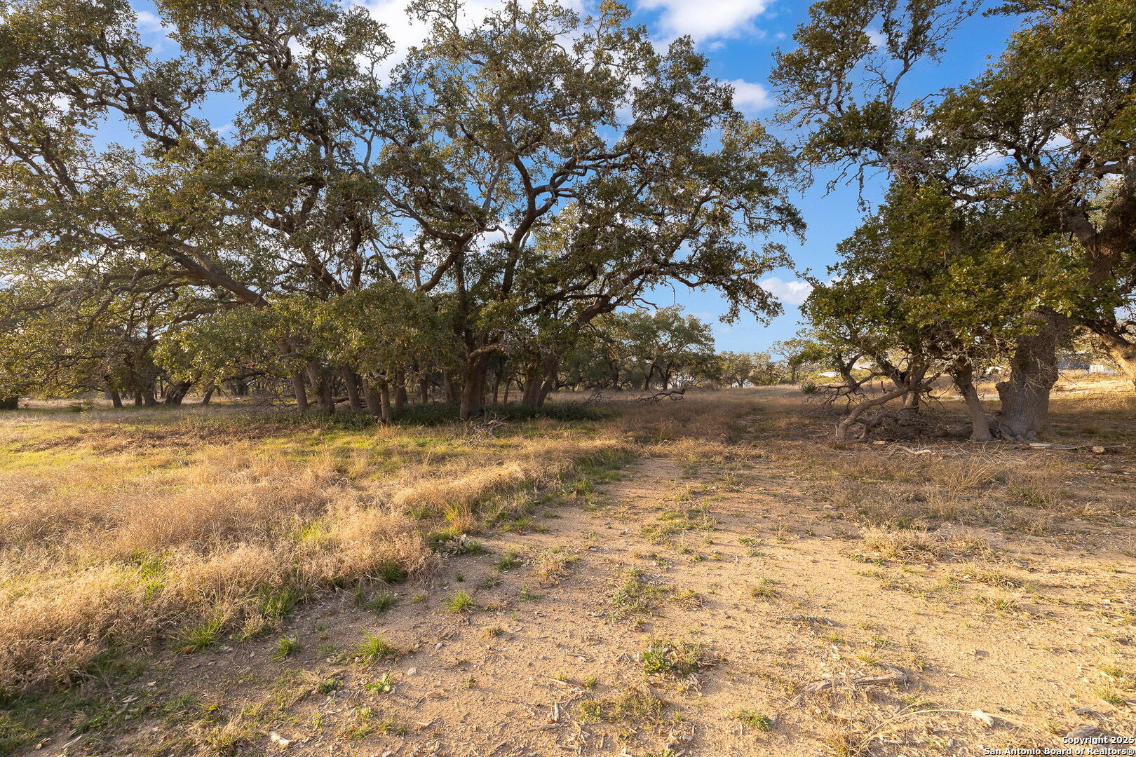 775 Green Gate View Bulverde, TX 78163 - Photo 29 of 48 a view of yard covered with snow