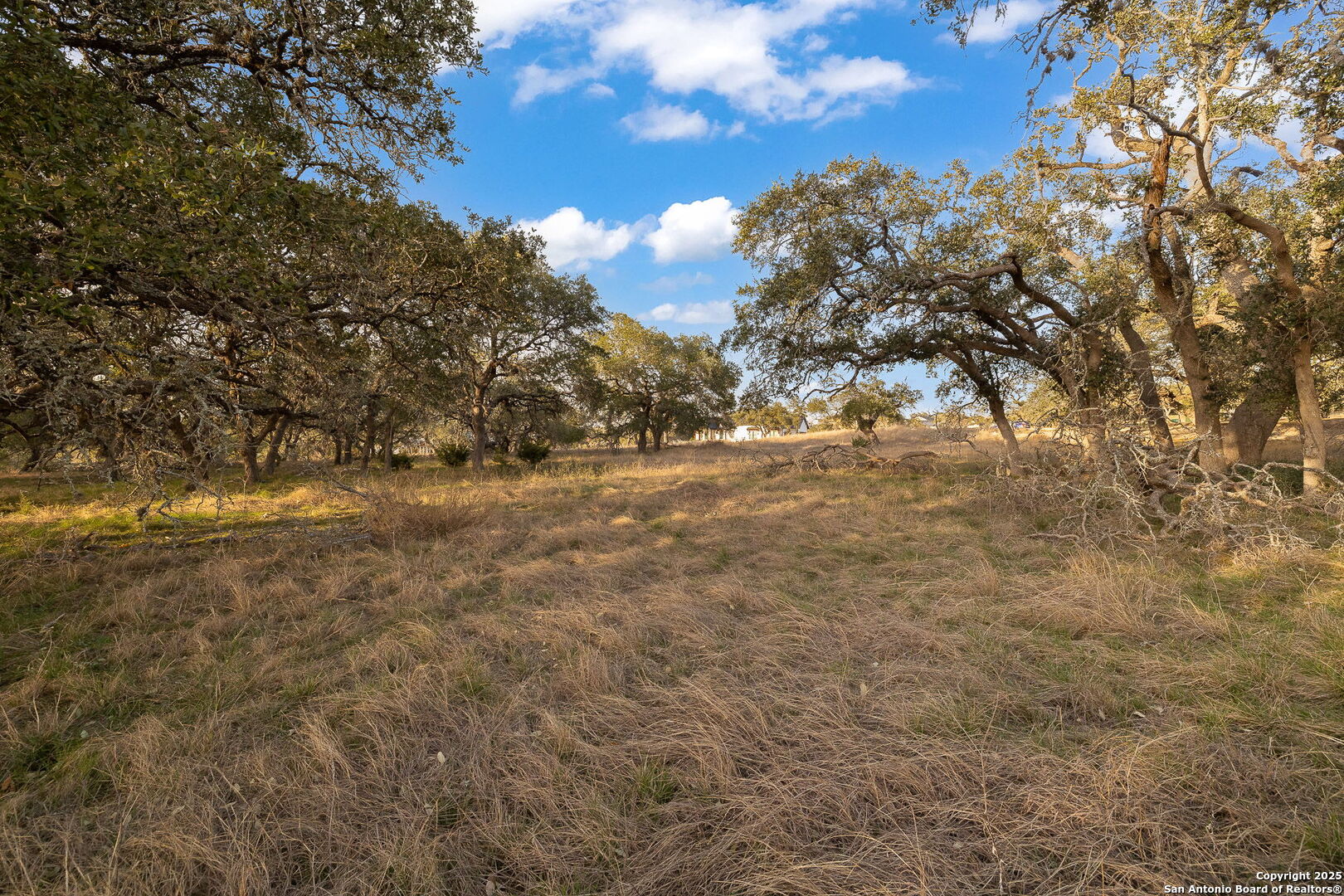 775 Green Gate View Bulverde, TX 78163 - Photo 30 of 48 a view of a yard with an trees