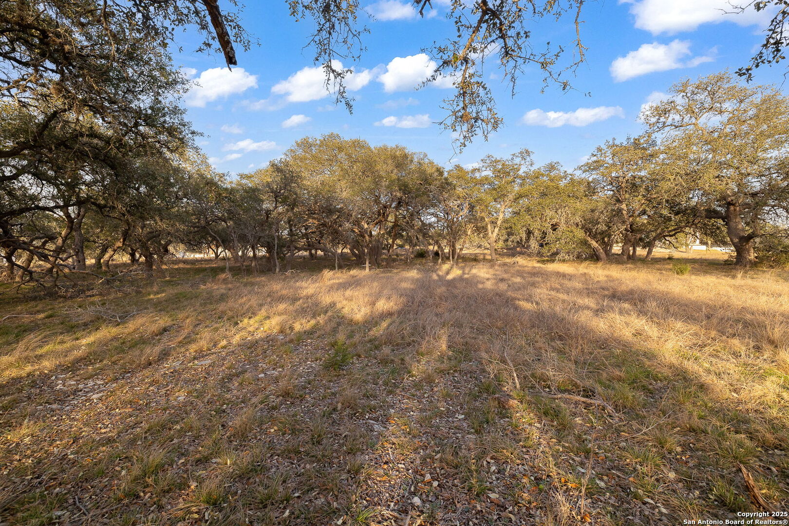 775 Green Gate View Bulverde, TX 78163 - Photo 31 of 48 a view of dirt yard with a mountain