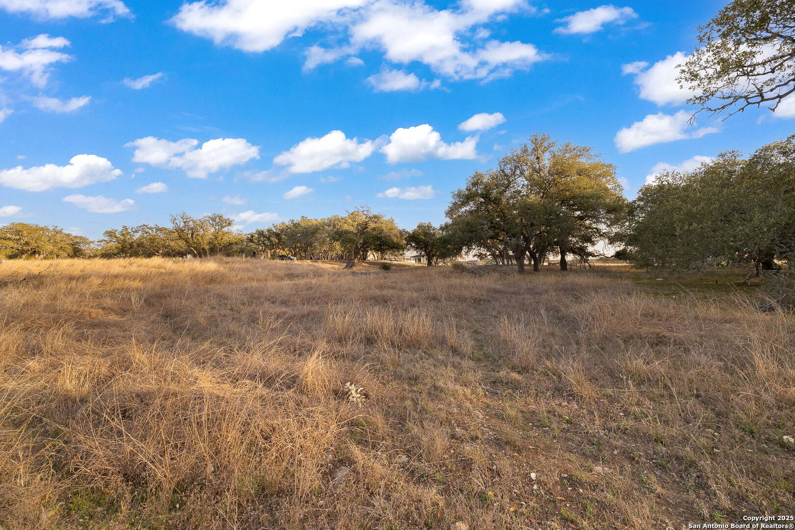 775 Green Gate View Bulverde, TX 78163 - Photo 32 of 48 a view of an outdoor space and yard