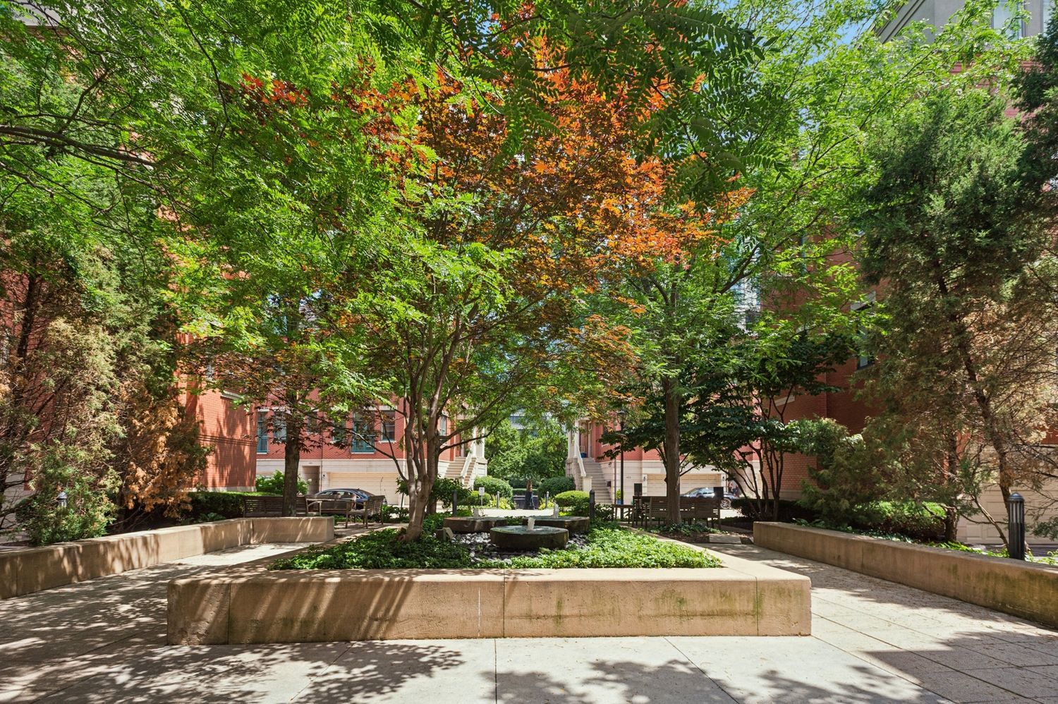 484 North Canal Street Chicago, IL 60654 - Photo 5 of 17