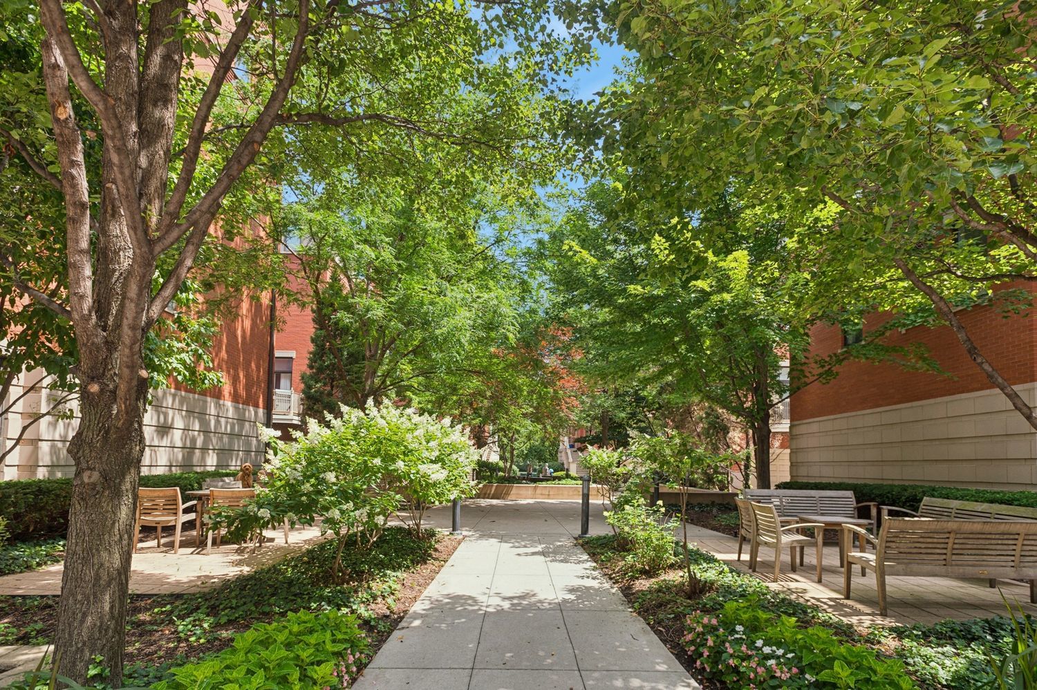 484 North Canal Street Chicago, IL 60654 - Photo 8 of 17