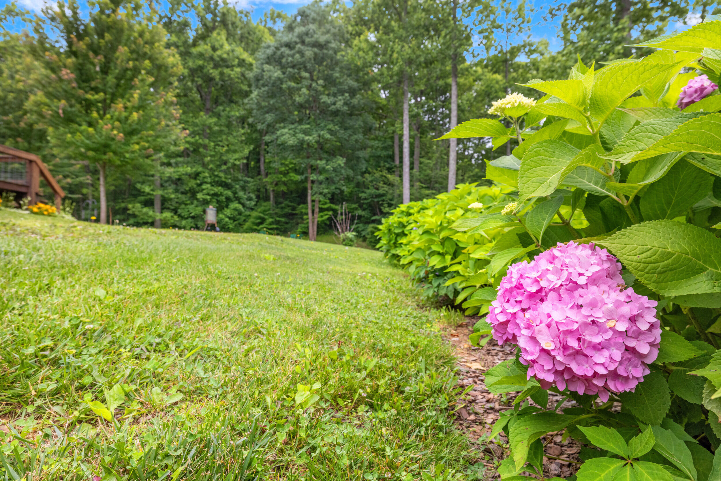 1564 High Ridge Road Middleburg, KY 42541 - Photo 71 of 79 44_1h4a4690