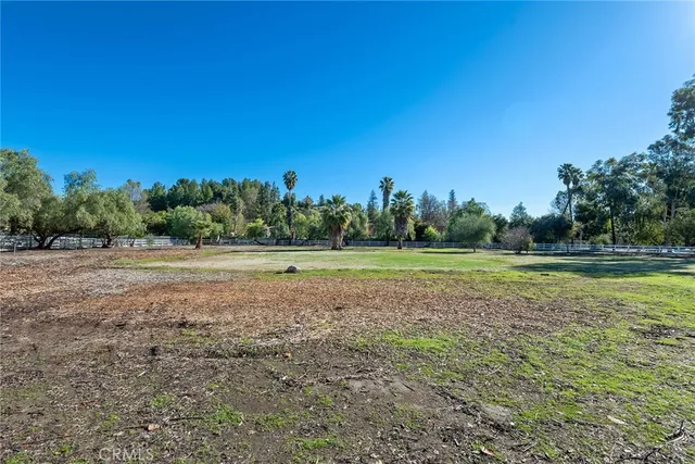 a view of a field with trees in the background