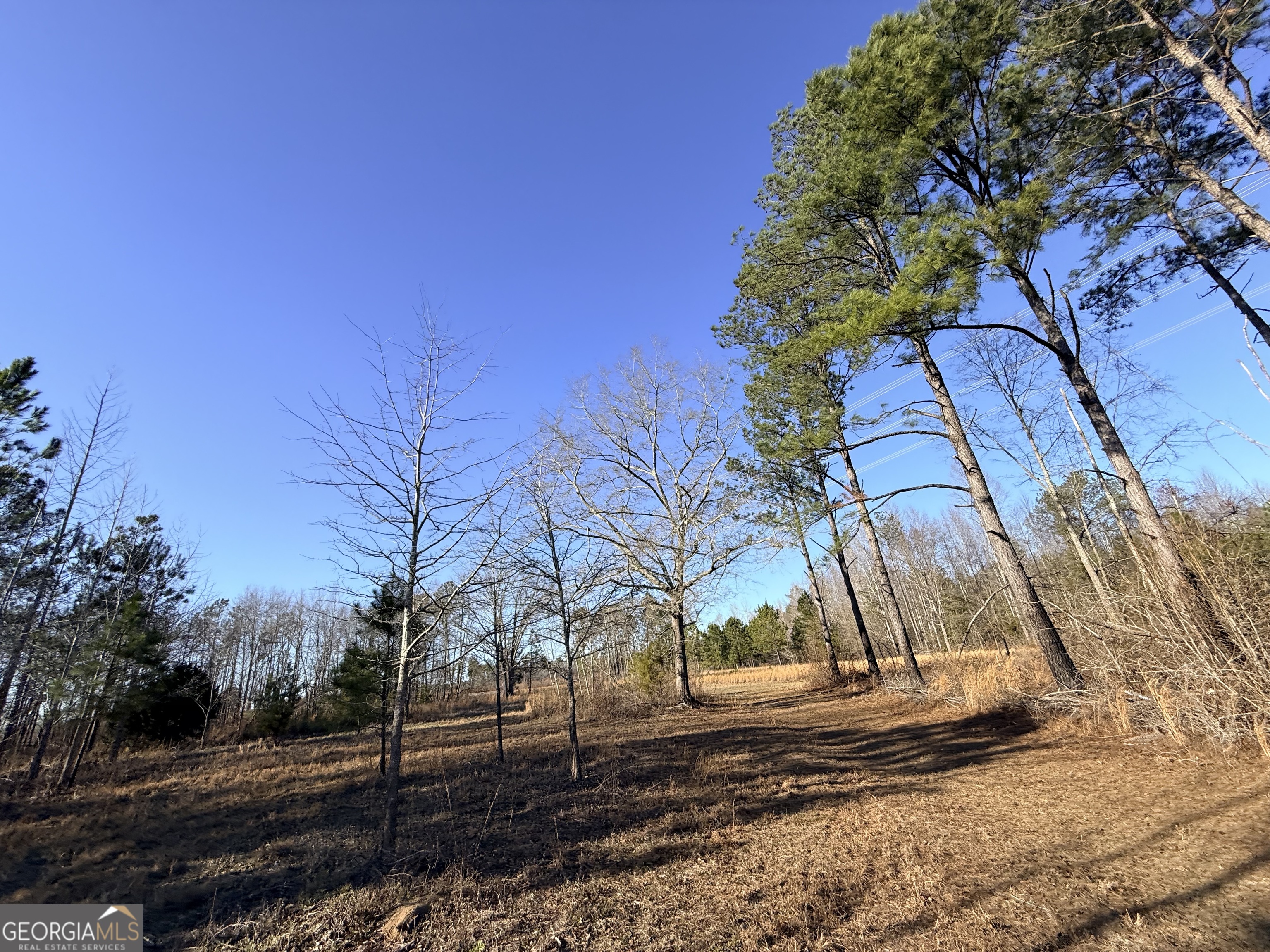 7 Sun Hill Grange Road Davisboro, GA 31018 - Photo 11 of 33