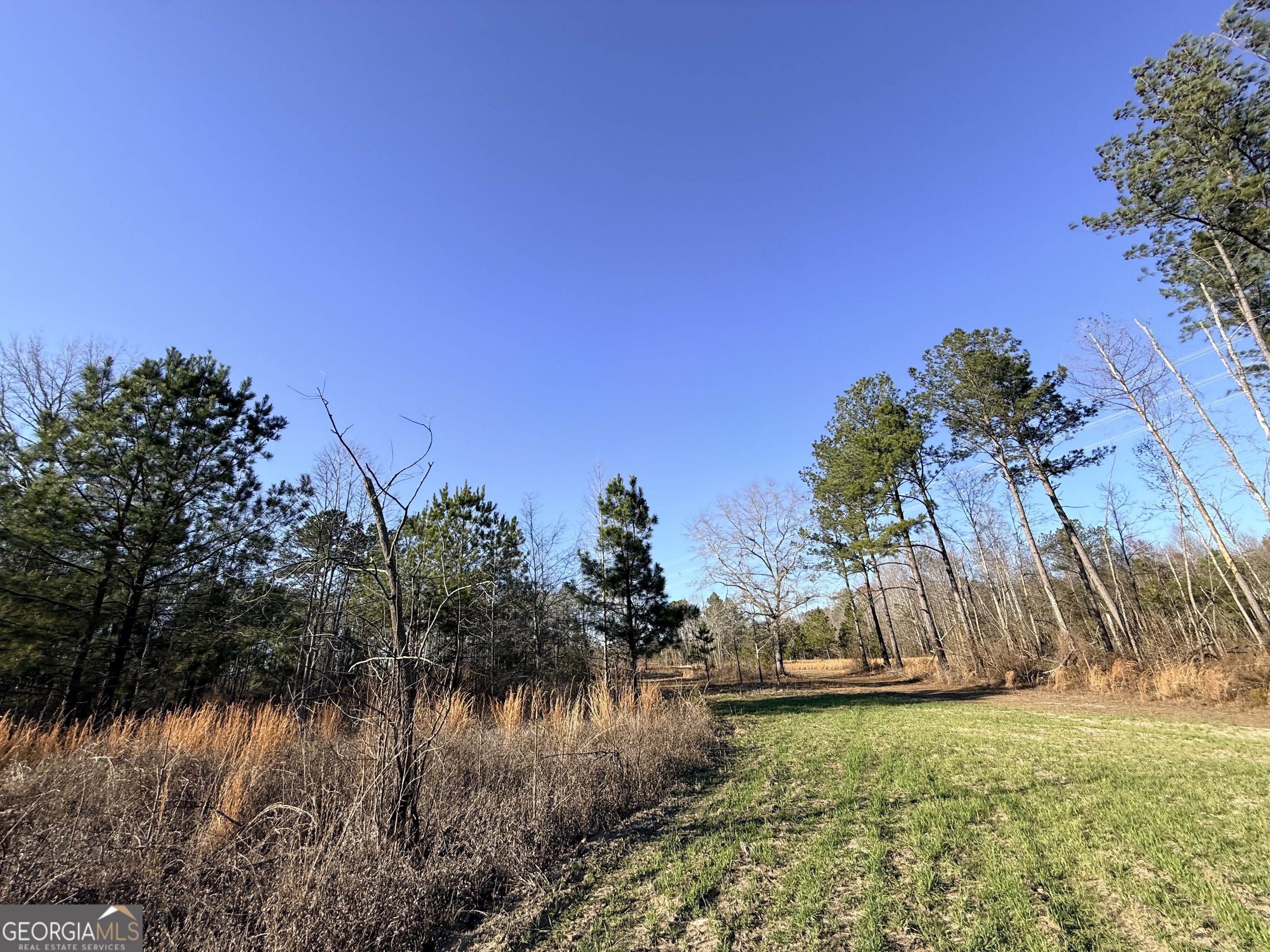 7 Sun Hill Grange Road Davisboro, GA 31018 - Photo 12 of 33