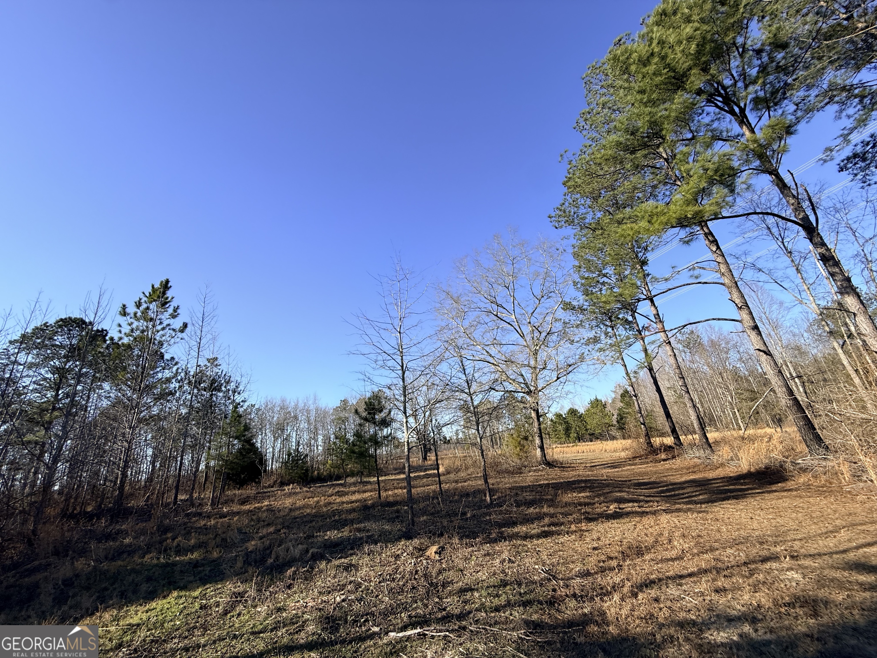 7 Sun Hill Grange Road Davisboro, GA 31018 - Photo 13 of 33