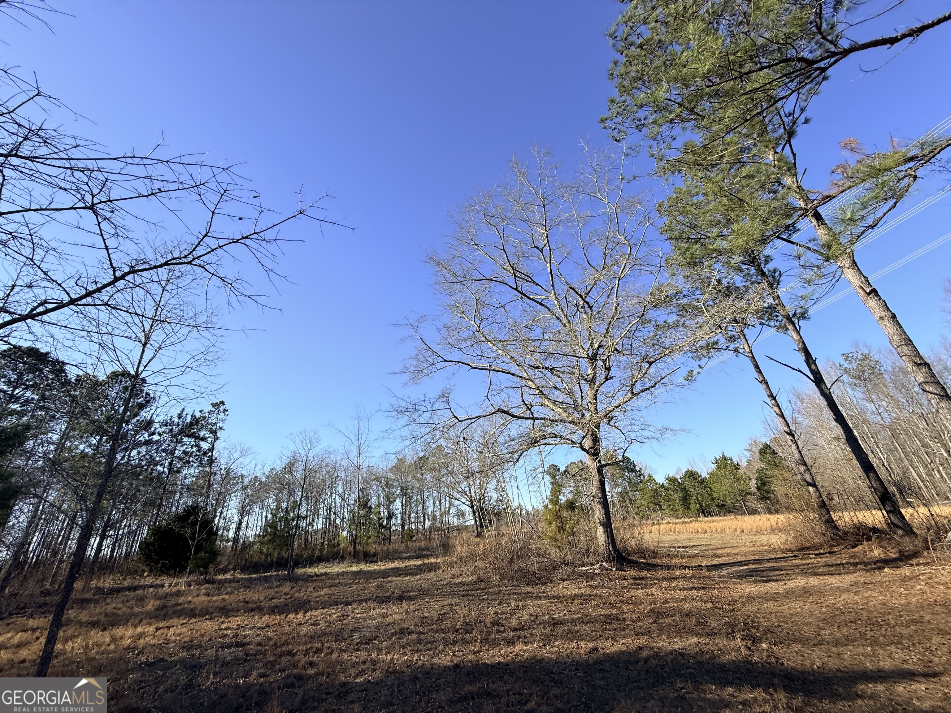 7 Sun Hill Grange Road Davisboro, GA 31018 - Photo 14 of 33