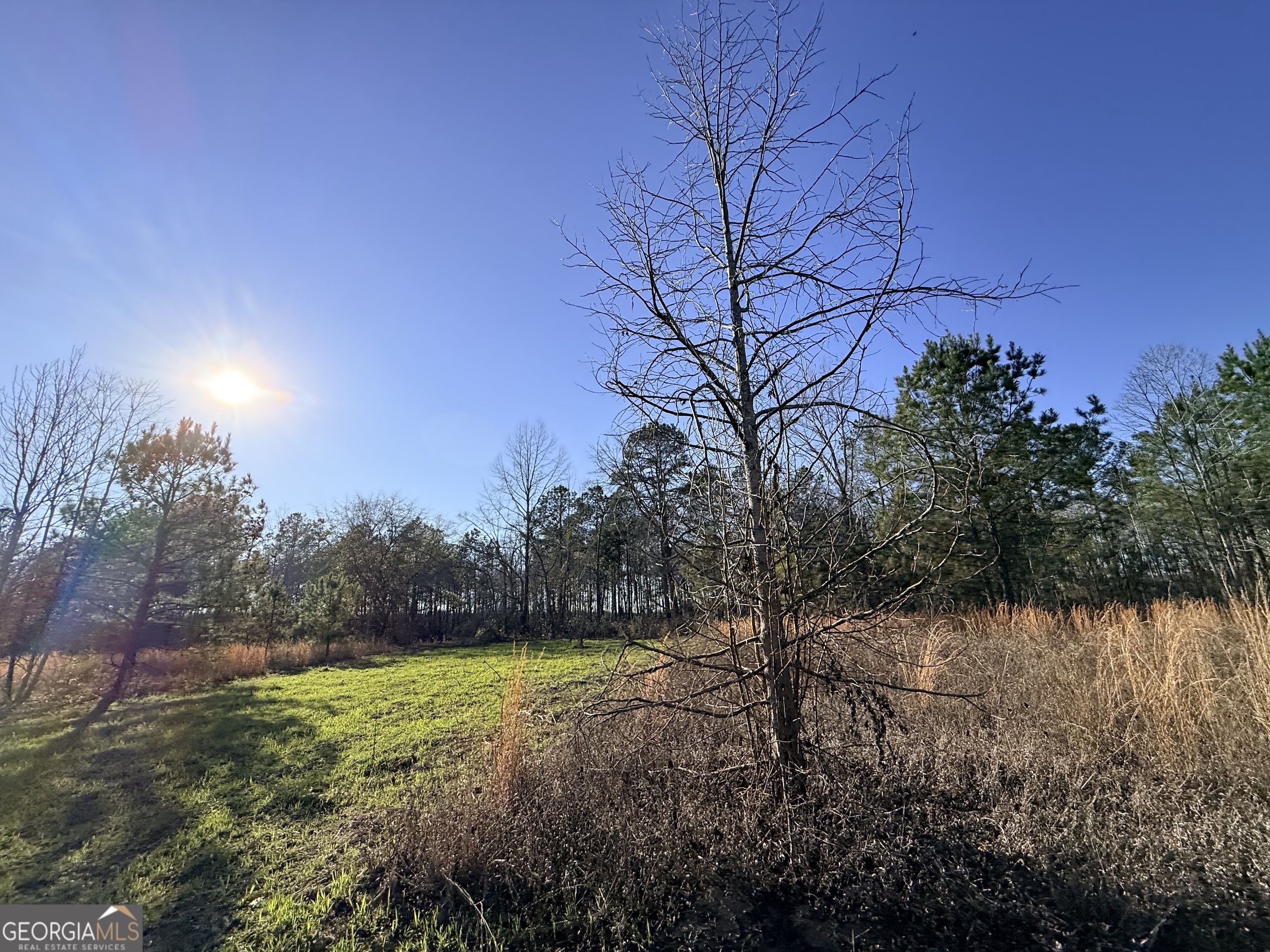 7 Sun Hill Grange Road Davisboro, GA 31018 - Photo 15 of 33