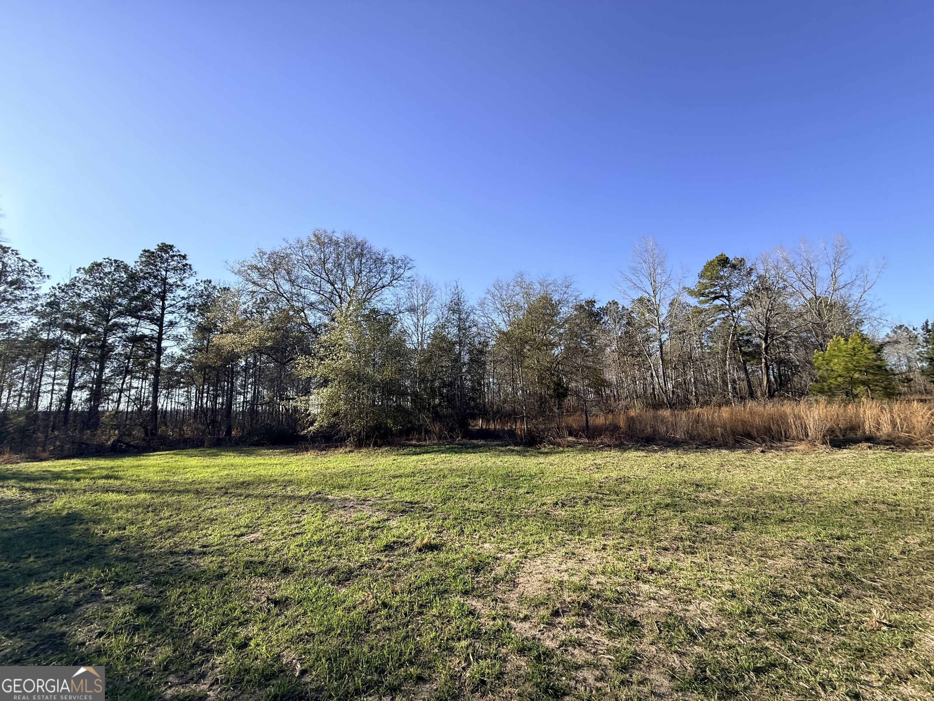 7 Sun Hill Grange Road Davisboro, GA 31018 - Photo 16 of 33